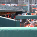 Baseball photo