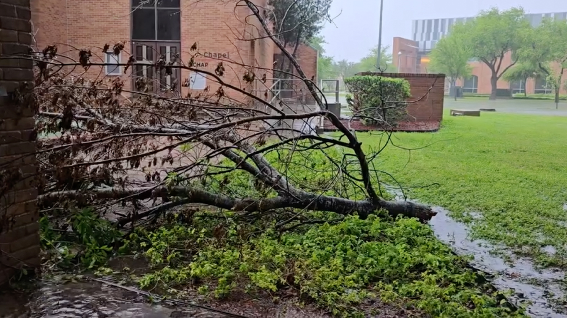 Flooding Rgv KVAQ-TV | UTRGV responds to March Floods