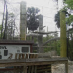 Gladys Zoo Photo
