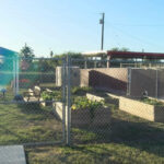 HarlingenGardenPhoto