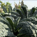 Screenshot 2026-03-27 at 10.15.05 AM